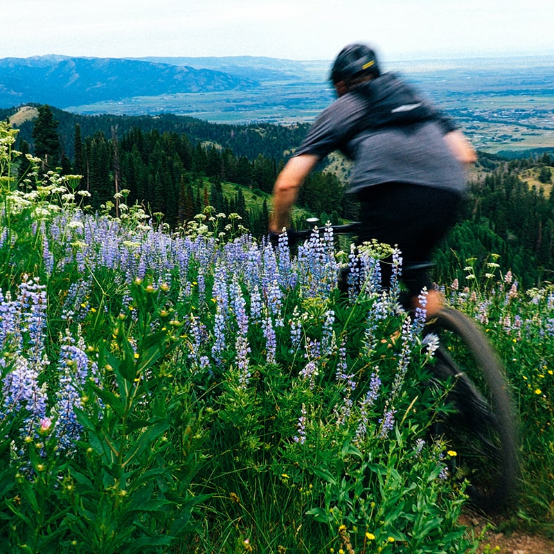 Mountain Bike The Tetons