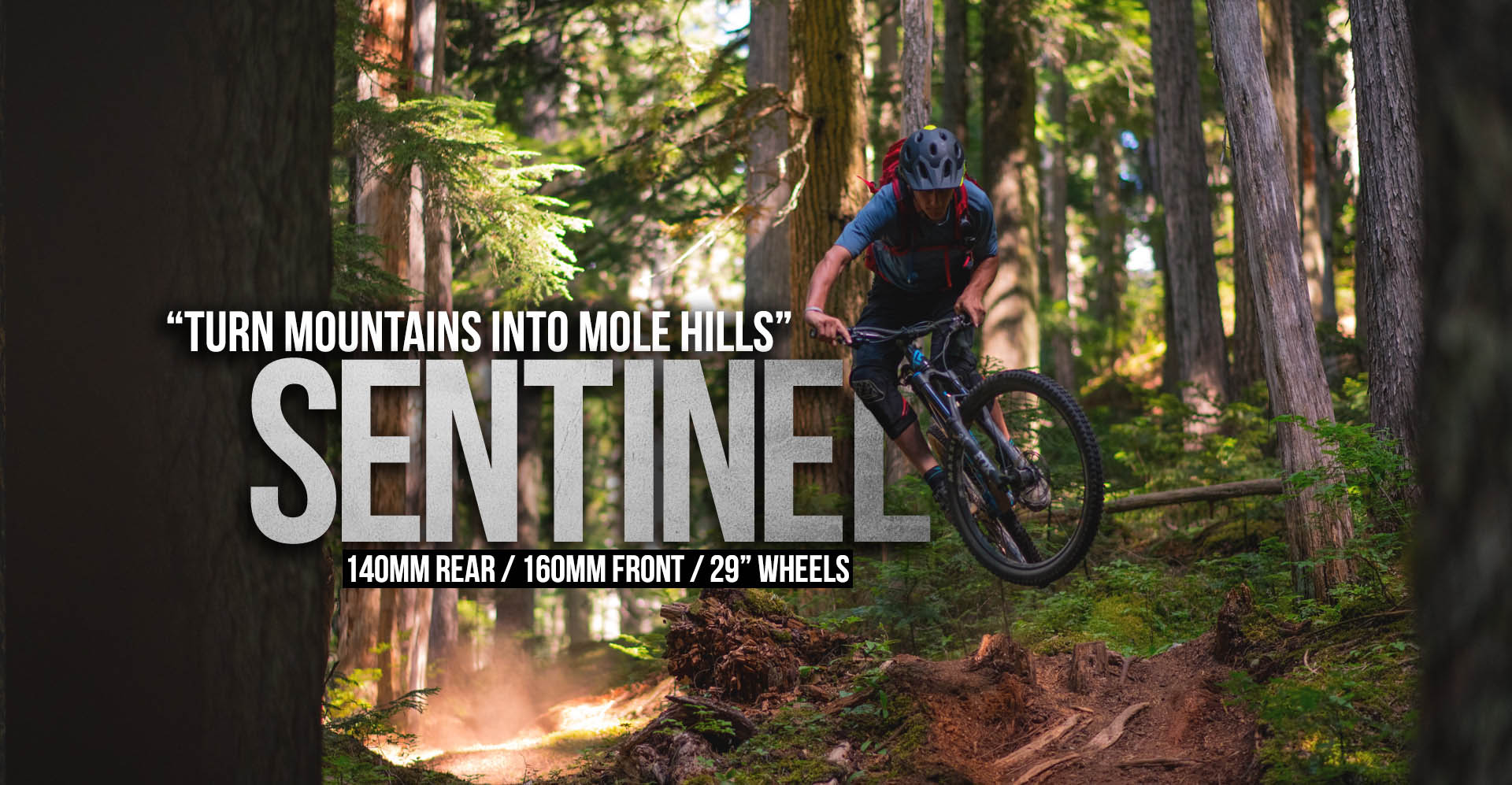 cbr sentinel mountain bike