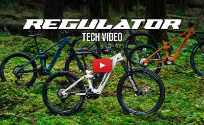 Regulator SX 
