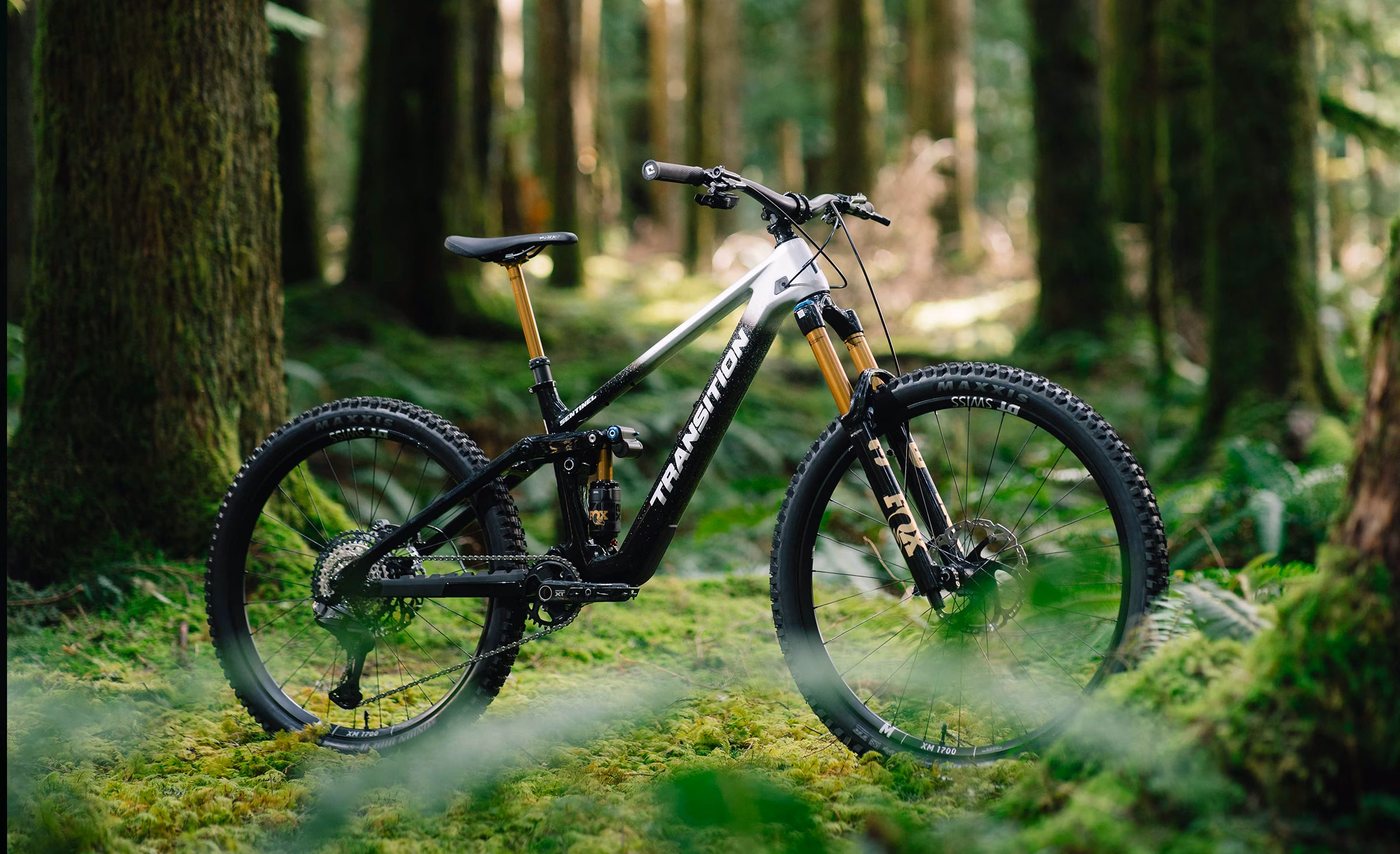 Sentinel Carbon Silver Mist Complete In The Wild