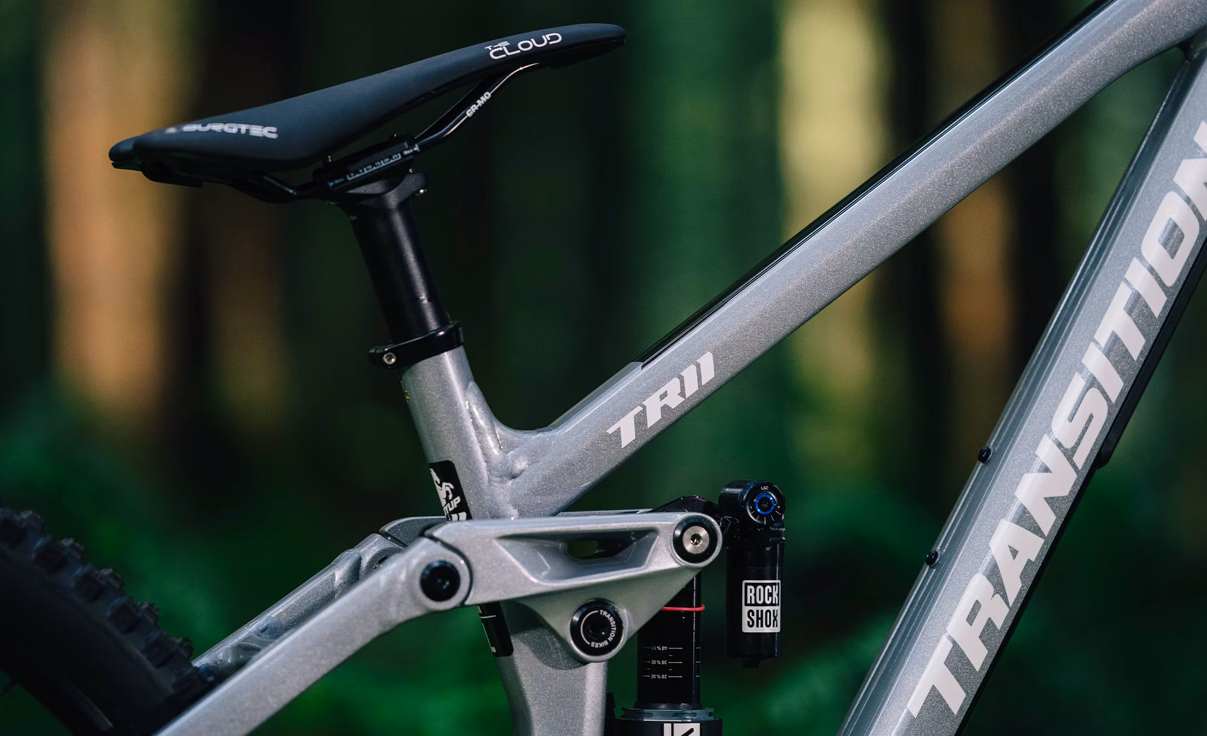 2026 TR11 Moonstone Nature Detail