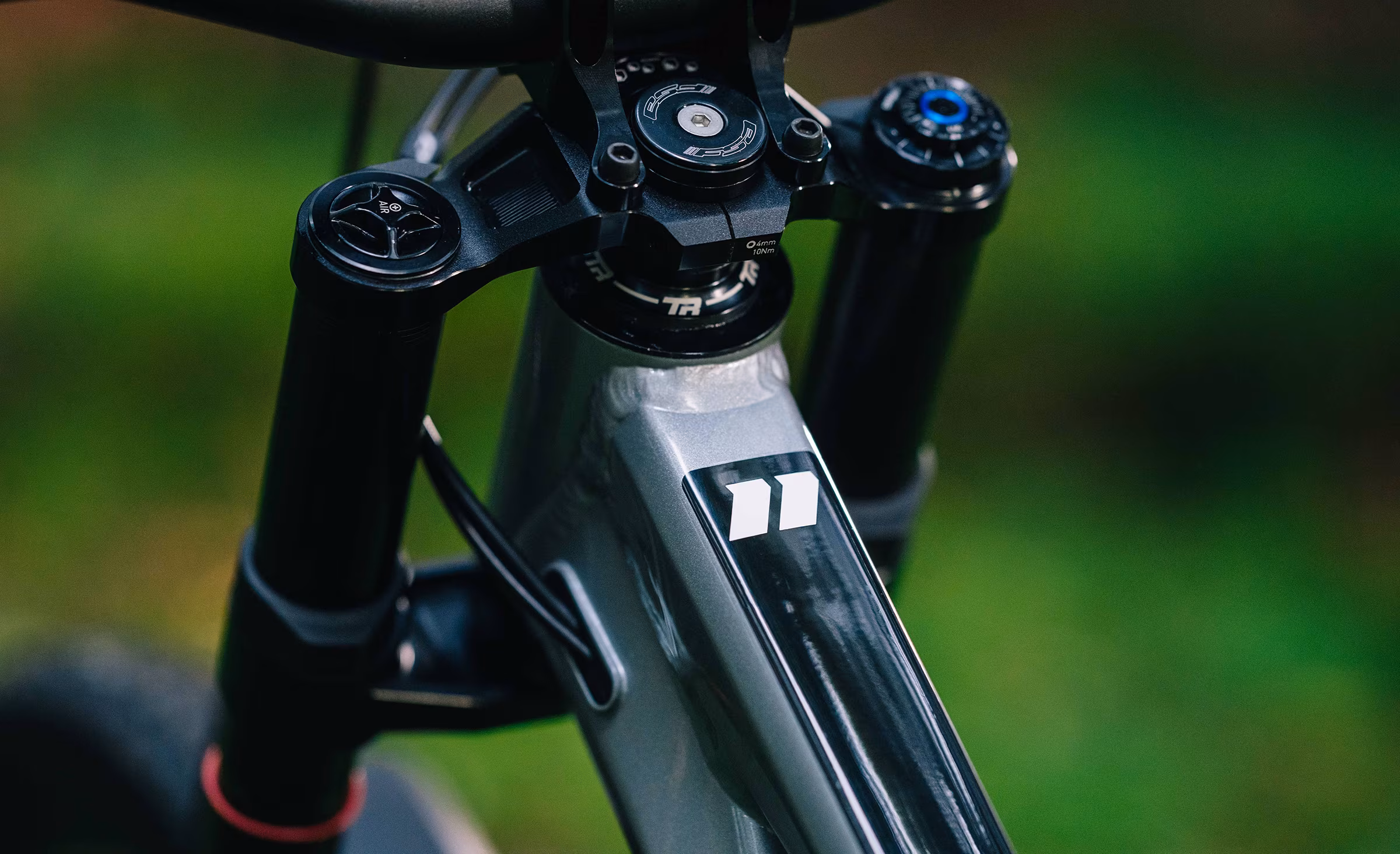 2026 TR11 Moonstone Nature Detail