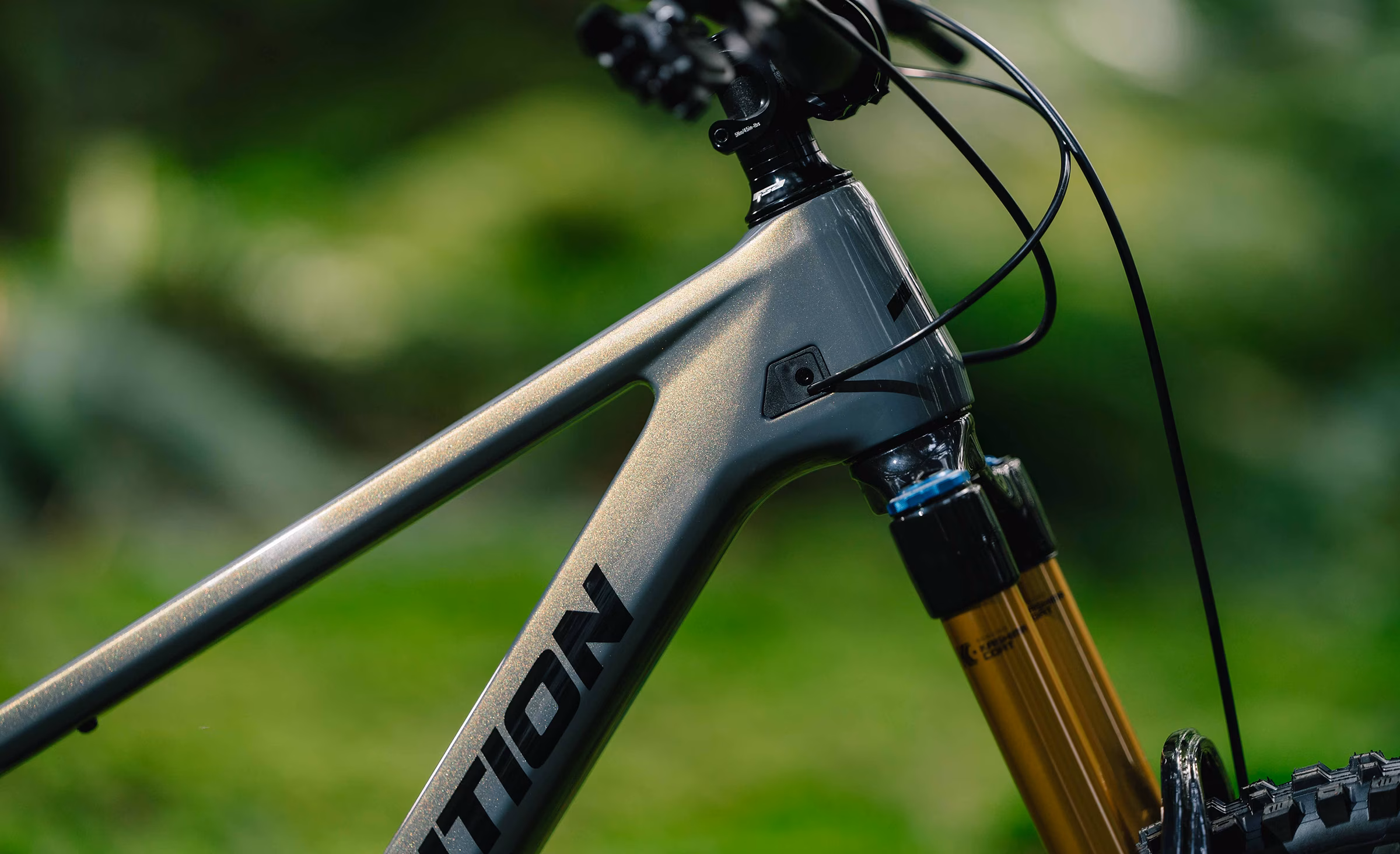 Sentinel Carbon Desert Dusk Headtube