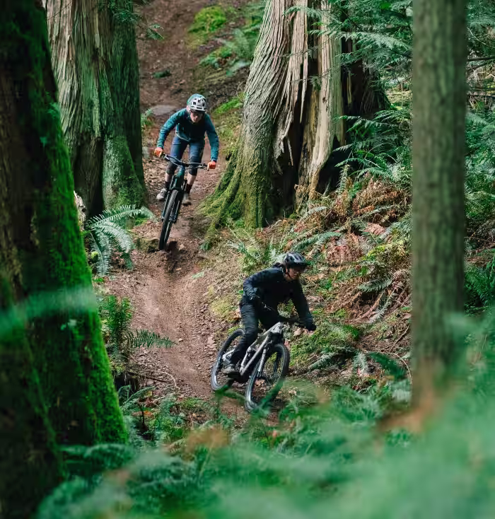 Regulator CX Riding Image