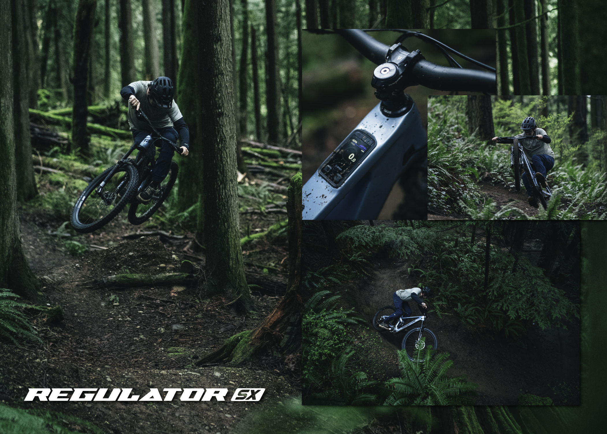 Regulator SX Collage