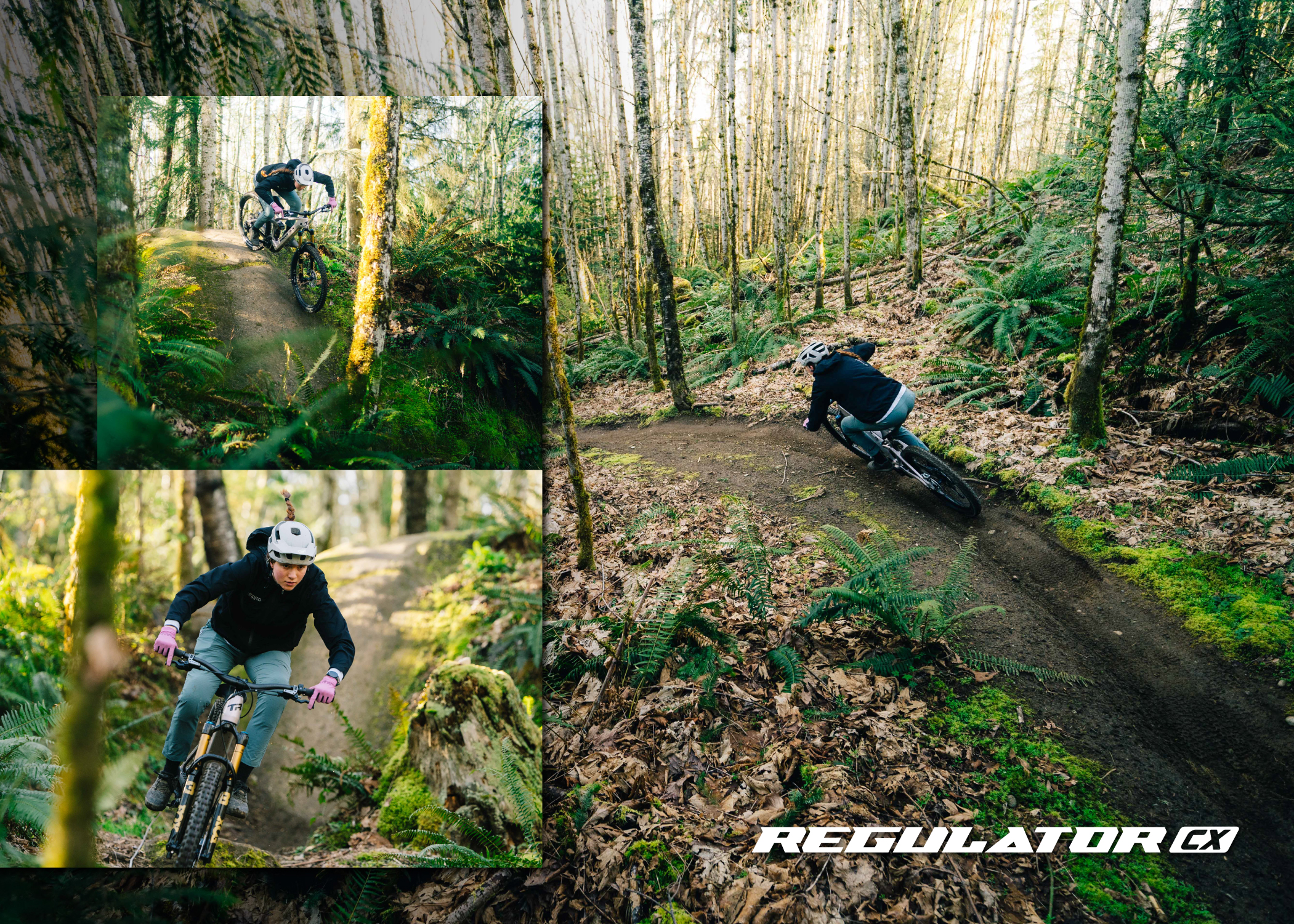 Regulator CX Collage